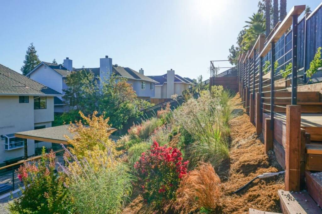 Bimmerle_Petrus_Estate_Landscaping_Company_San_Jose_Project (13)