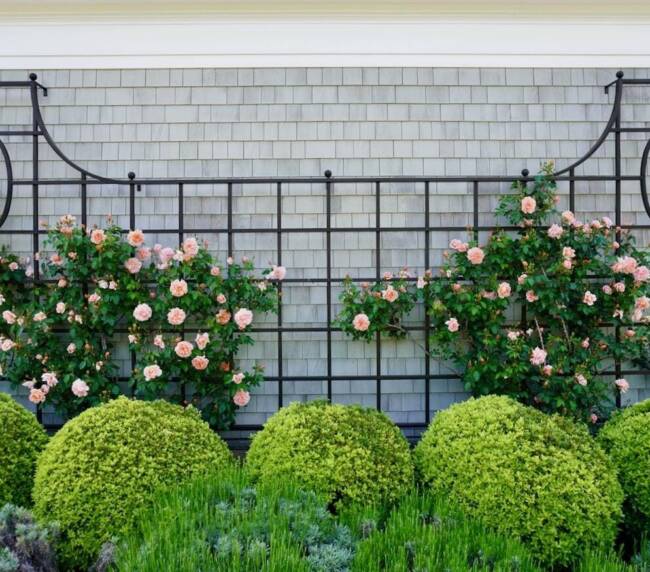 Horseshoe_Petrus_Landscaping_Luxury_Landscape_design_company_portfolio (3)