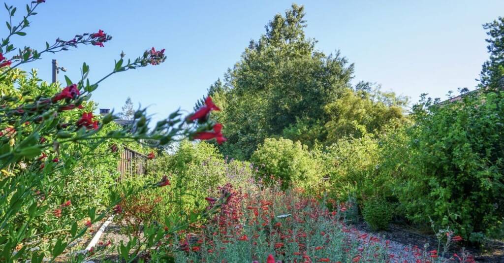 Taj Palace Petrus Landscaping