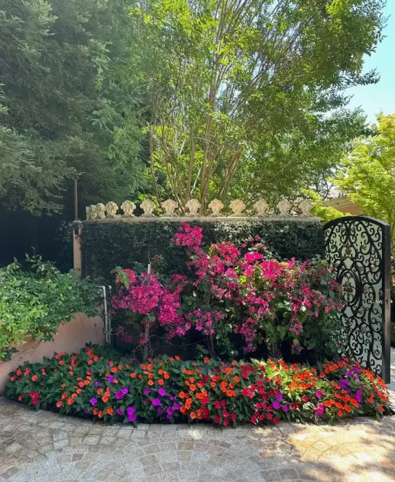colorful flowers near entry gate