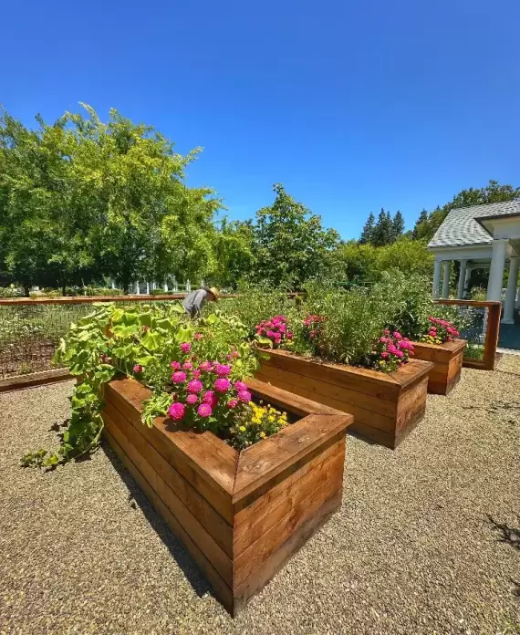 flower beds in estate landscape bay area