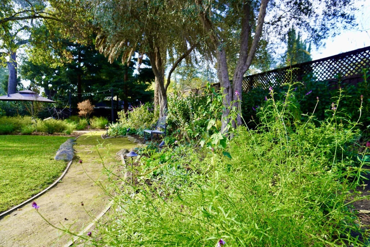 Tuscaloosa_Petrus_Landscaping_Luxury_Design_Company_Project.jpeg (1)