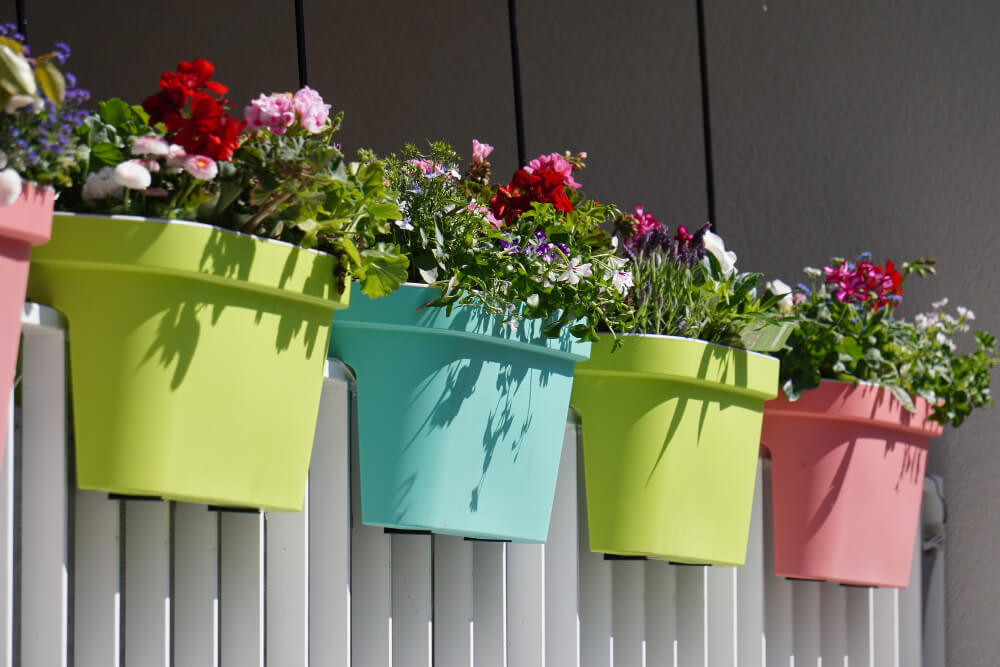 flowers with colorful pots