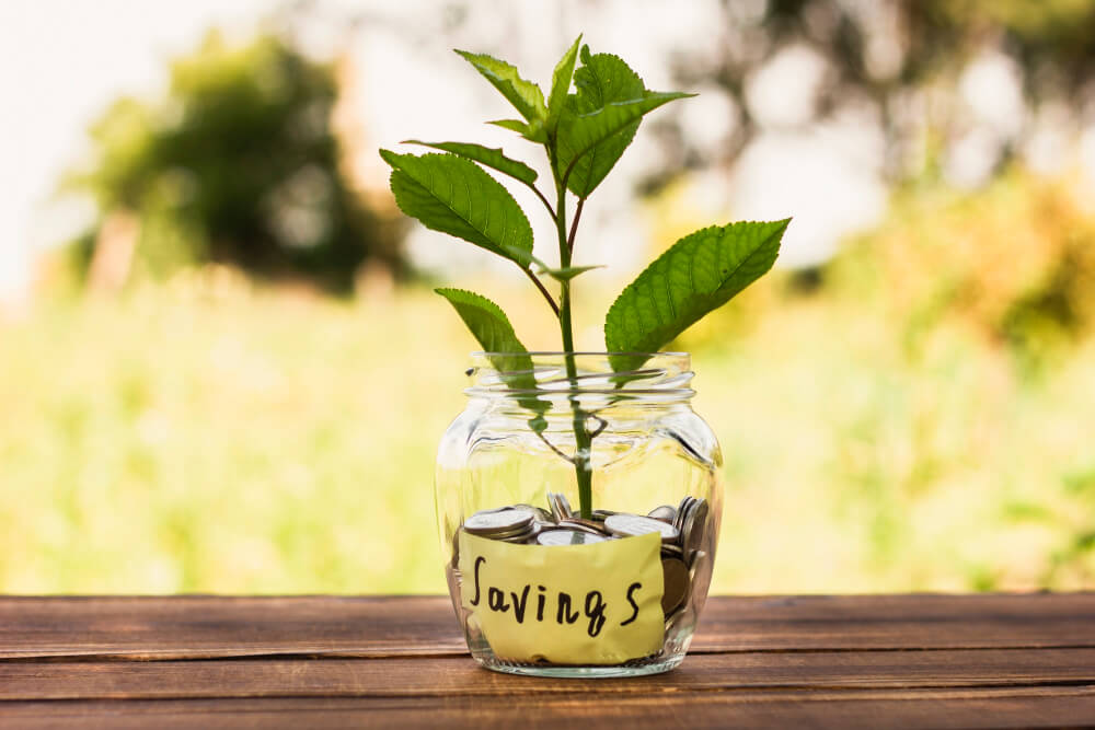 jar with savings little tree inside