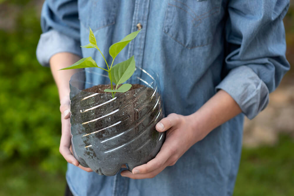 person holding plant plastic pot