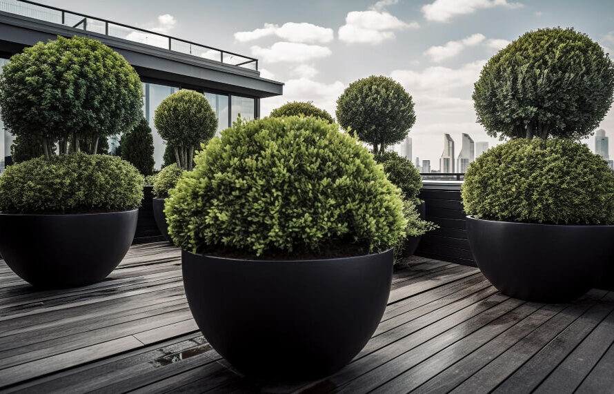 rooftop garden