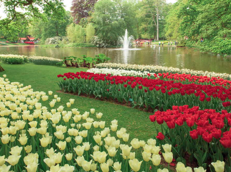 Red Yellow and White Flower with Fountain Garden