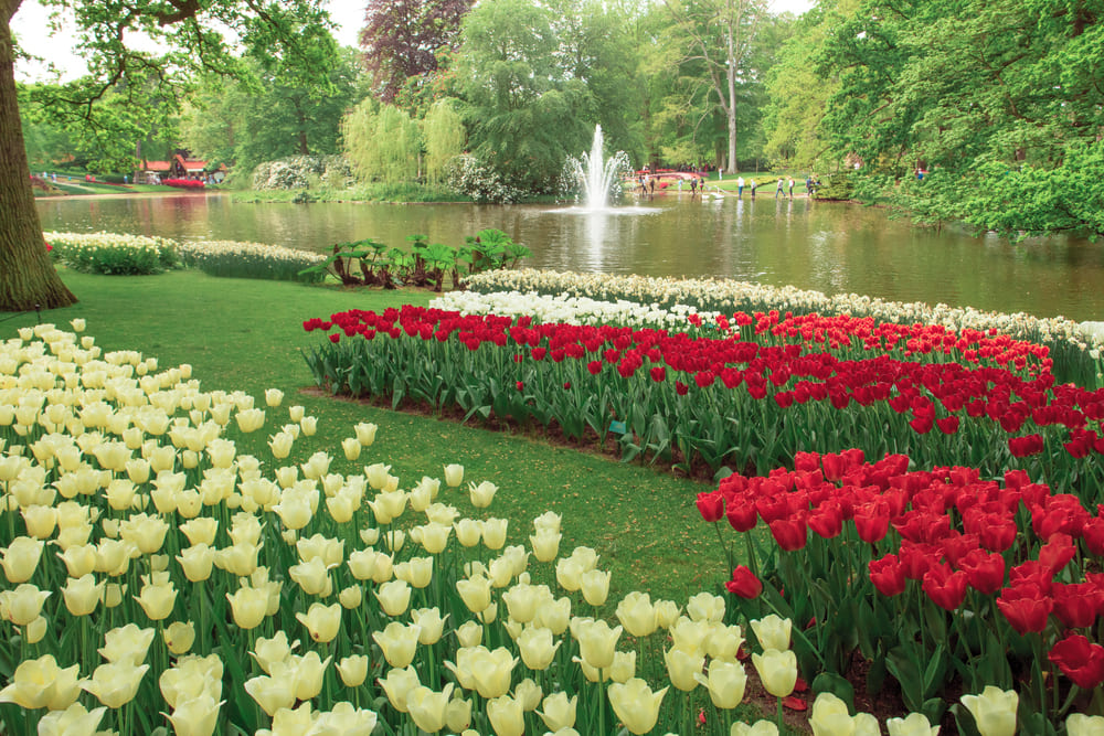 Red Yellow and White Flower with Fountain Garden