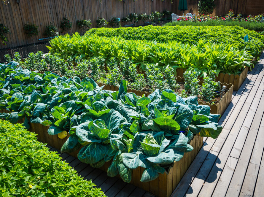 edible gardens