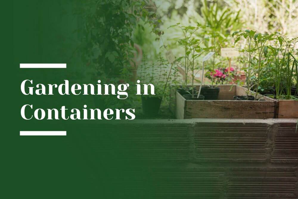 Container Gardening