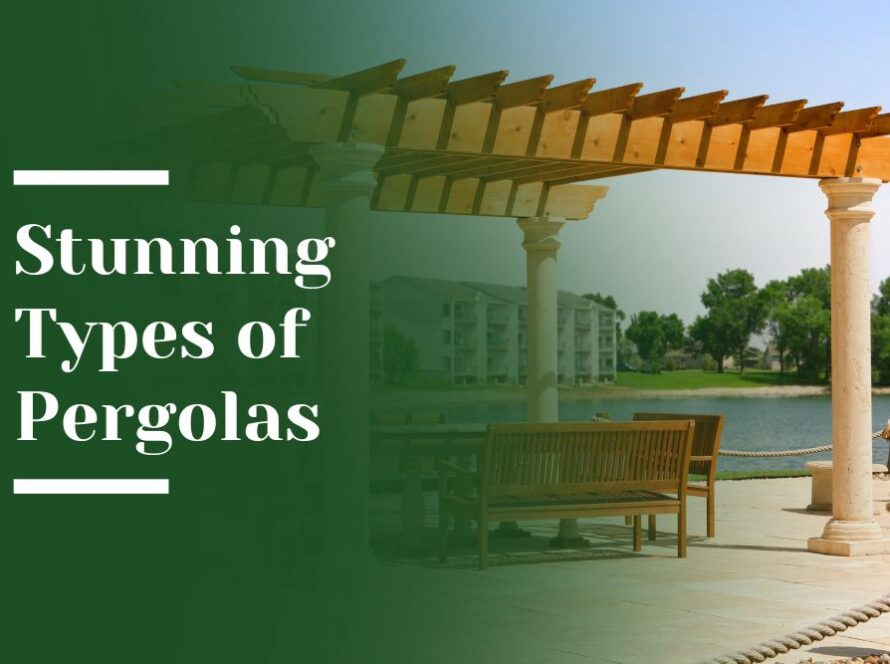 Stunning Types of Pergolas Blog Image