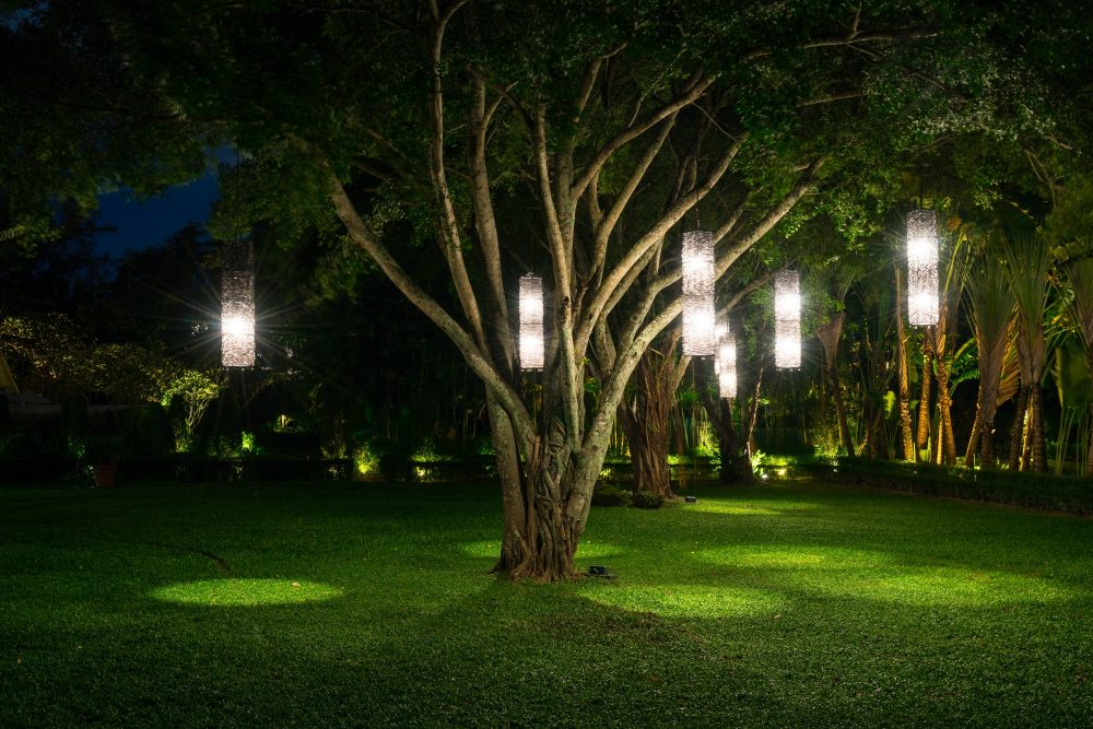 Up-Lighting for Trees and Shrubs