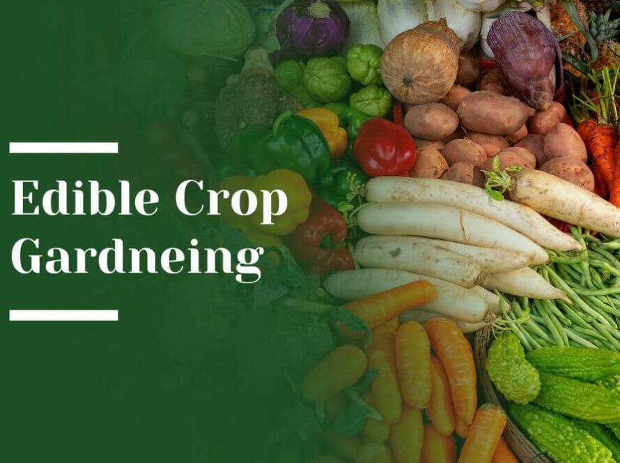 Edible Crop Gardening Blog Image