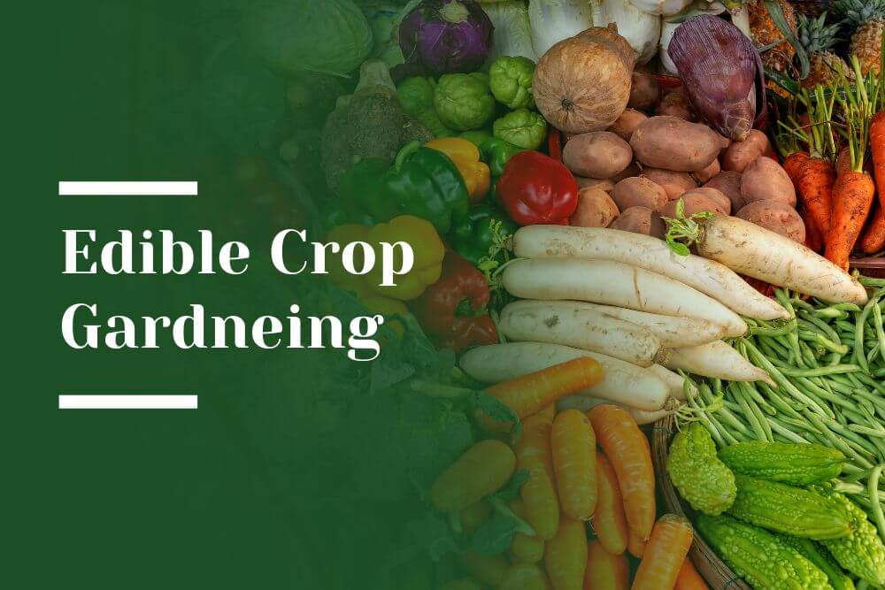 Edible Crop Gardening Blog Image