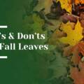 The Dos and Don’ts of Using Fall Leaves in Your Garden