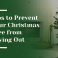 10 Tips to Prevent Your Christmas Tree from Drying Out