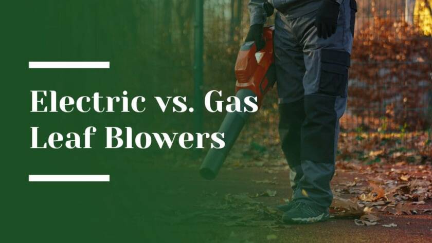 Electric vs. Gas Leaf Blowers Blog Image