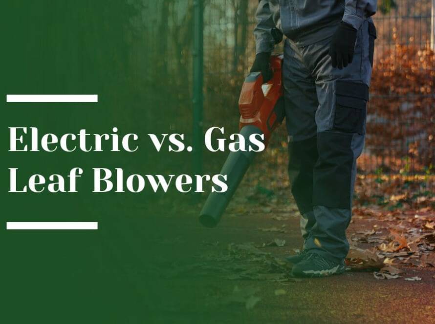 Electric vs. Gas Leaf Blowers Blog Image