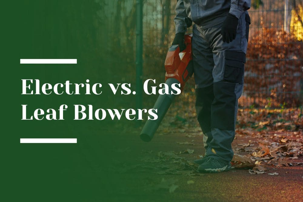 Electric vs. Gas Leaf Blowers Blog Image