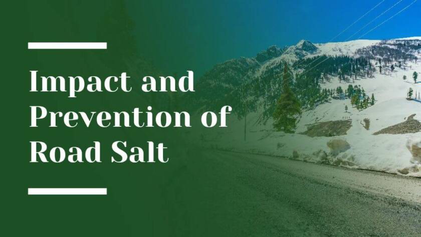 Impact and Prevention of Road Salt Blog Image