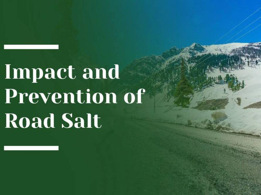 Impact and Prevention of Road Salt Blog Image