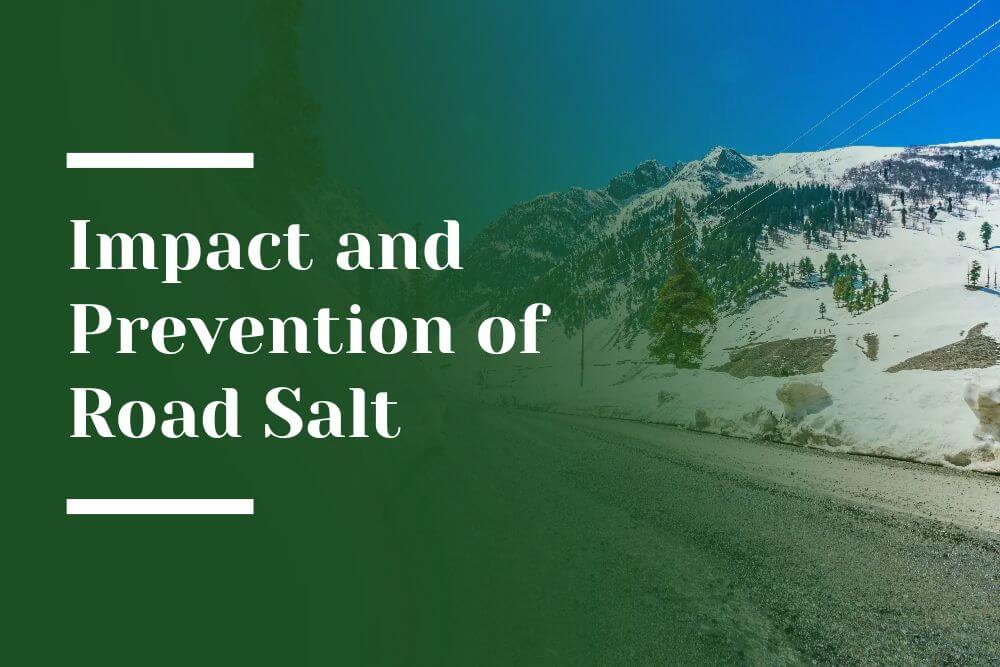 Impact and Prevention of Road Salt Blog Image