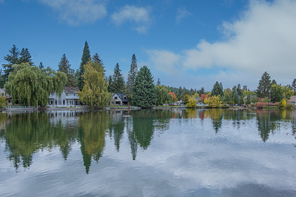 Lakeside Estate Landscape