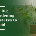 12 No-Dig Gardening in Palo Alto Mistakes You Need to Avoid