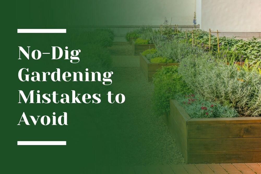 No Dig Gardening Blog Image