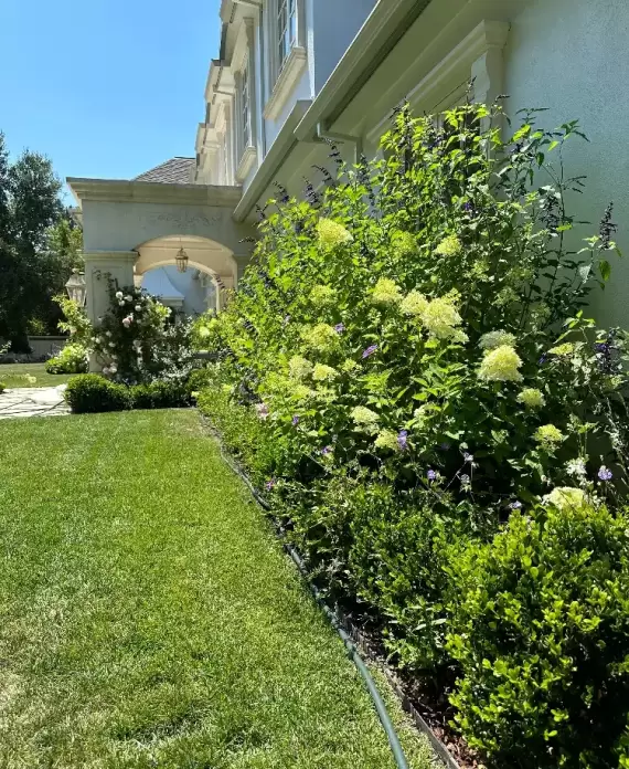 well-manicured garden with a lush green lawn