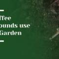 Coffee Grounds in Gardening: How to Use Them for Composting, Fertilizing, and Soil Health