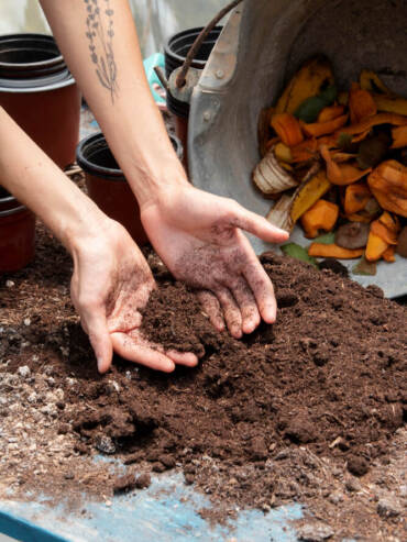 Soil in hand