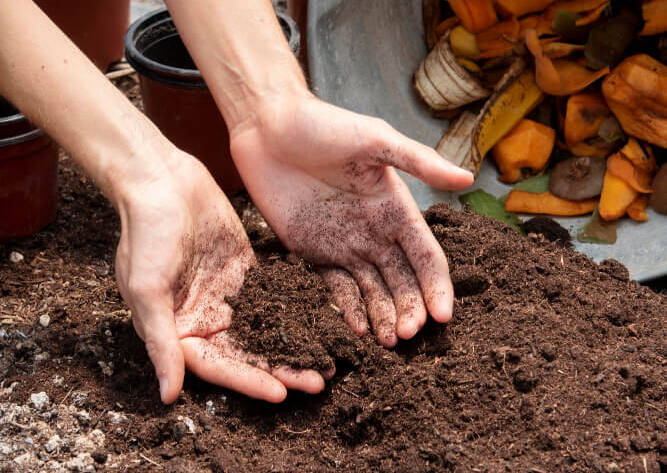 Soil in hand