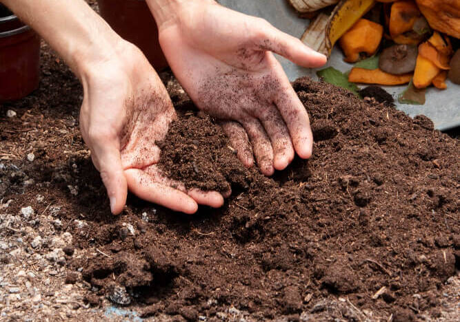 Soil in hand