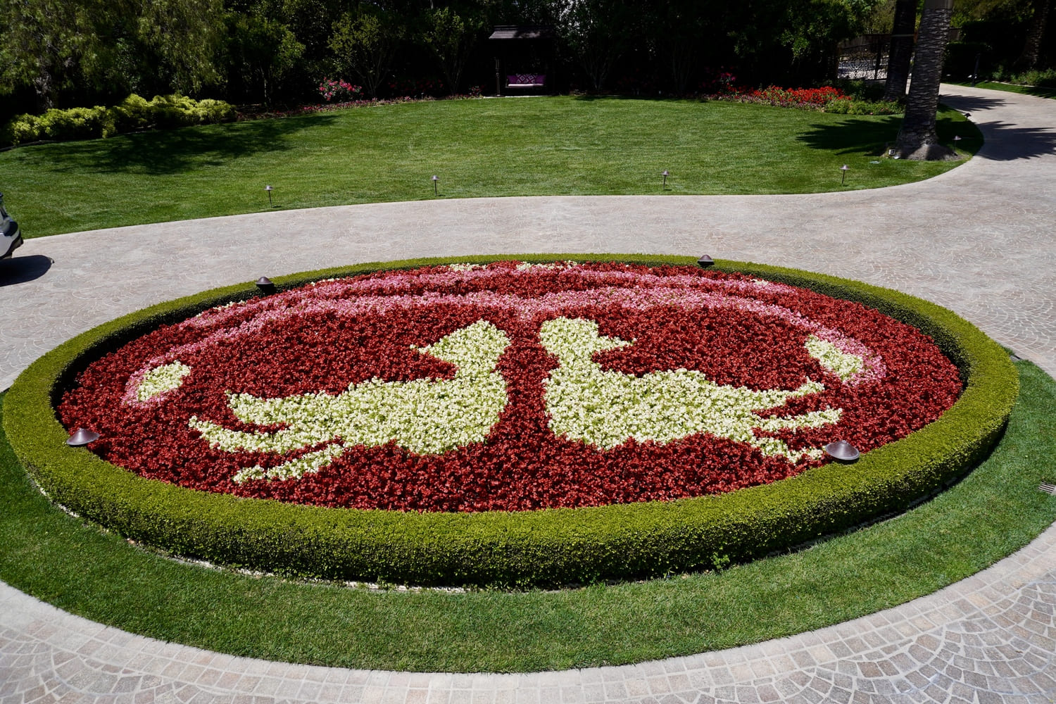 Colorful flower beds landscape in full bloom