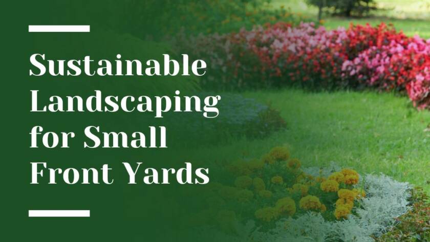 Sustainable Landscaping Blog Image