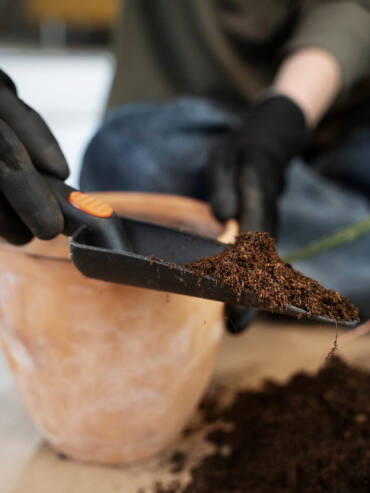 Close up hand holding gardening scoop