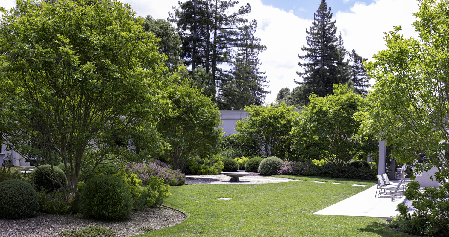 Outdoor Landscape Design