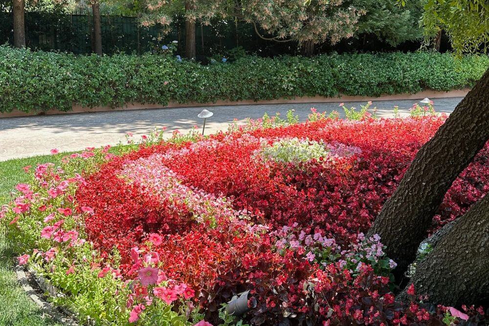 Red and pink flower garden