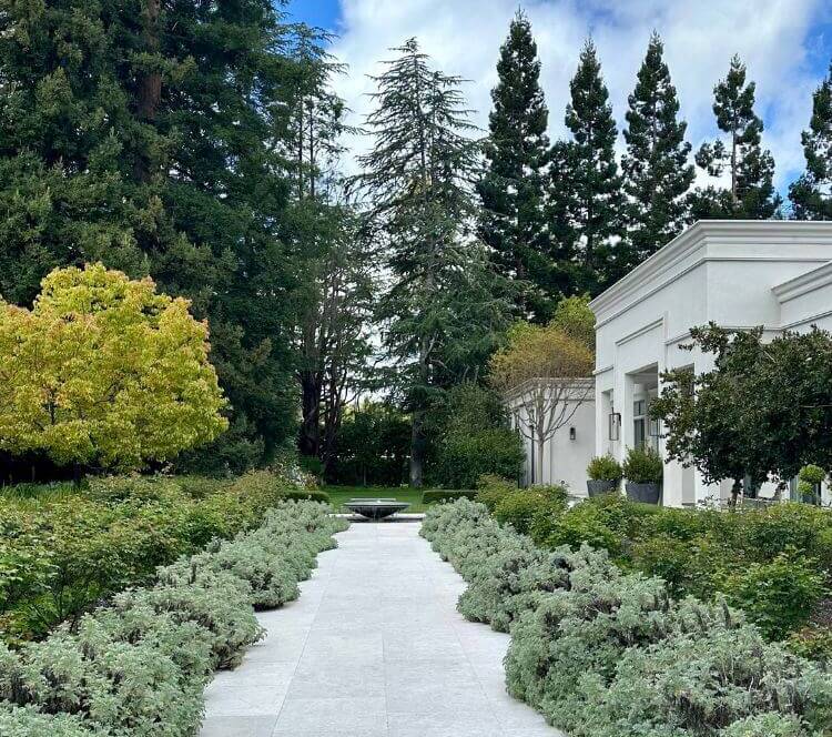 Estate with trees and shrubs surrounding with pathway