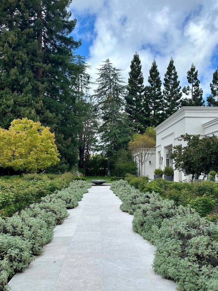 Estate with trees and shrubs surrounding with pathway