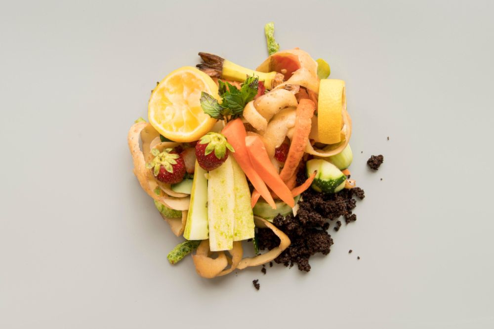 Fruit Scraps