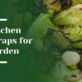 10 Kitchen Scraps You Can Use to Enrich Your Woodside Garden Soil