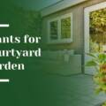 7 Best Plants for Los Altos Courtyard Gardens