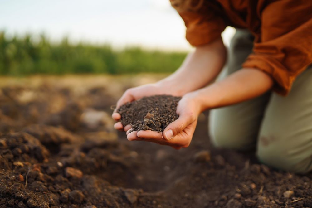 Soil in Hand