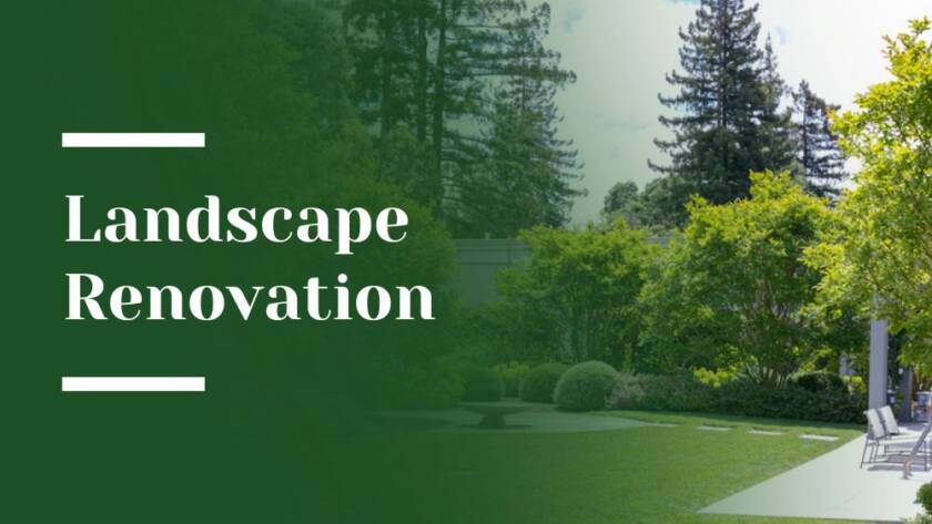 Landscape Renovation Blog Image