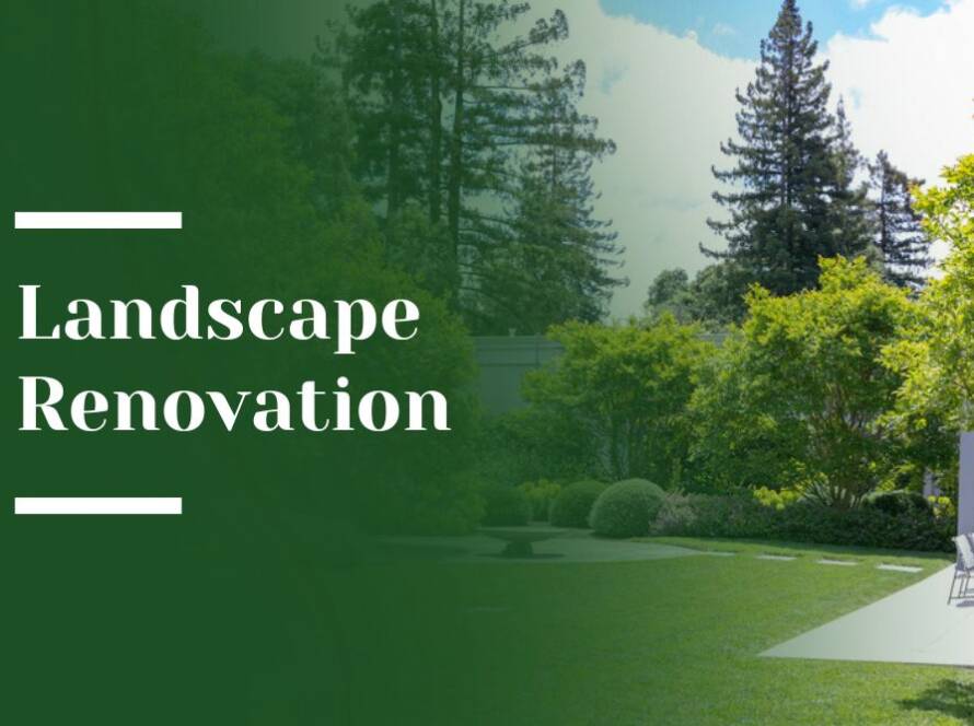 Landscape Renovation Blog Image