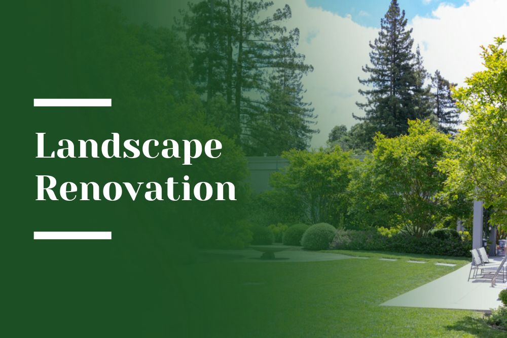 Landscape Renovation Blog Image