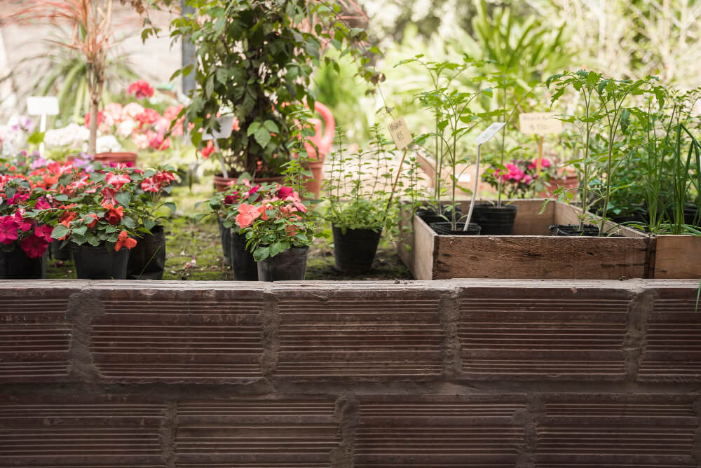 Plant Potting