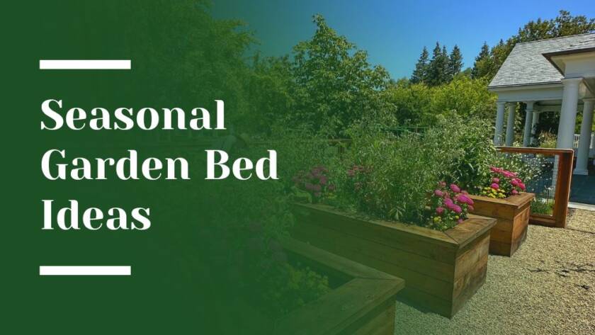 Seasonal Garden Beds Blog Image